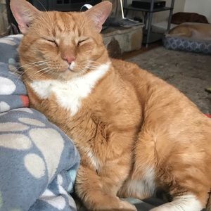 Meet your Posher, Kristen